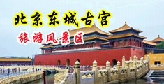 用大鸡巴插入美女小穴抽插视频软件中国北京-东城古宫旅游风景区